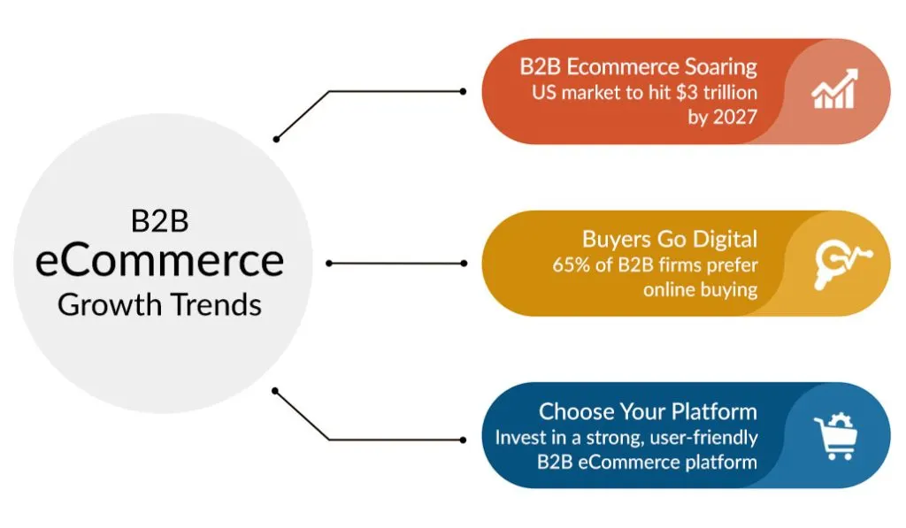 b2b ecommerce growth
