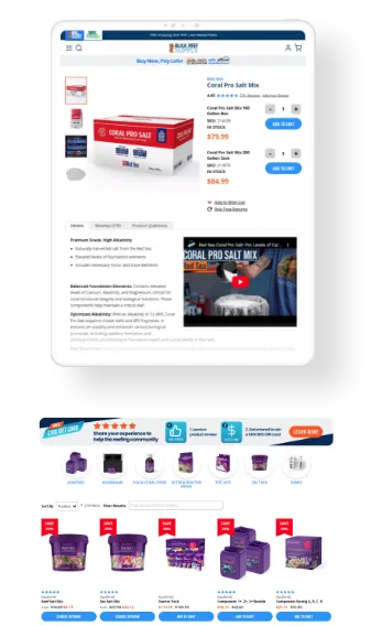 project image 2 mobile